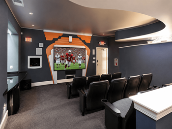 12-Seat theater room